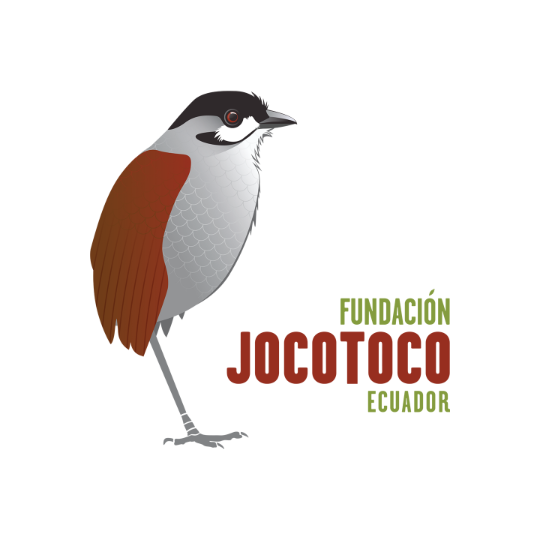 Jocotoco